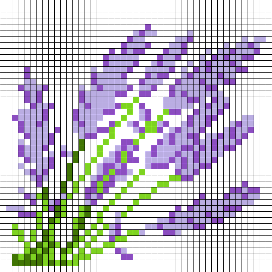 Purple Lilac Flower (With White Background)