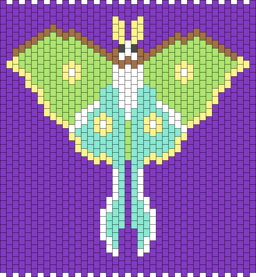 Luna Moth!