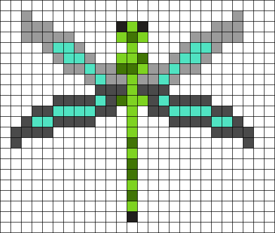 Dragonfly From Above