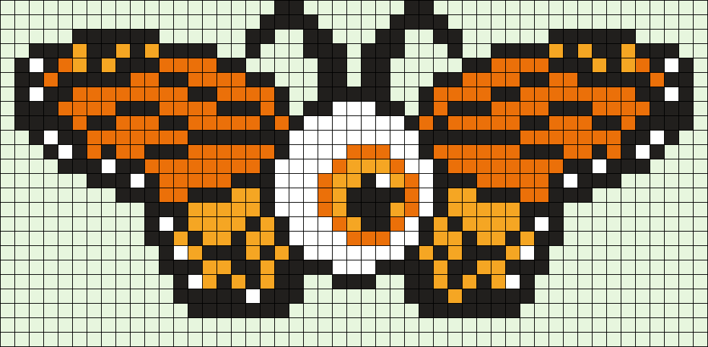 Monarch Butterfly Eye