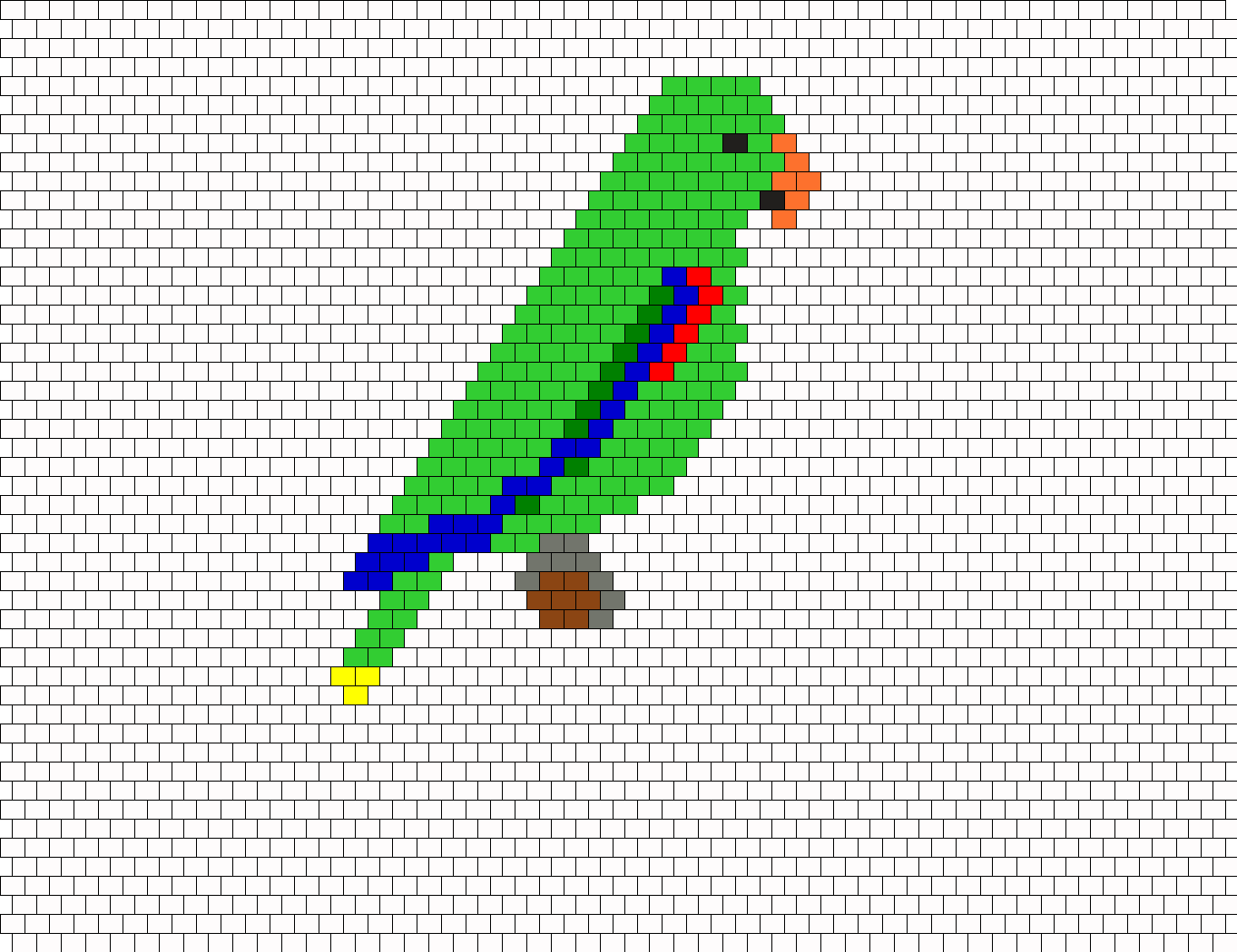 Eclectus Male Parrot