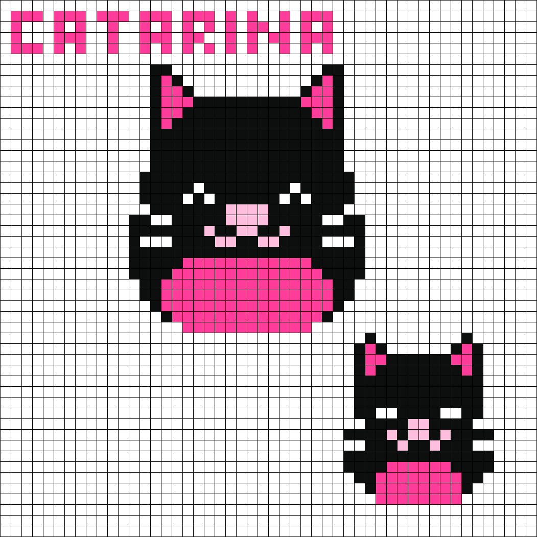 Catarina Cat Squishmallow