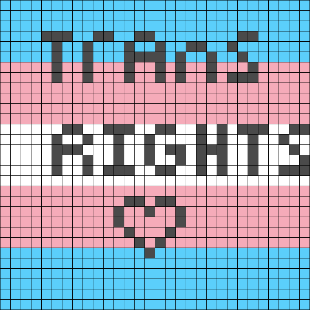 TRANS RIGHTS!