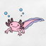 bxby_axolotl