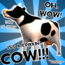 Cow_withspots