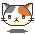 calico hmm