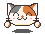 calico hurray