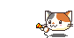 calico magic