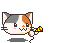 calico magic2