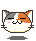 calico sleep