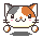 calico spin