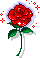 roseglitter